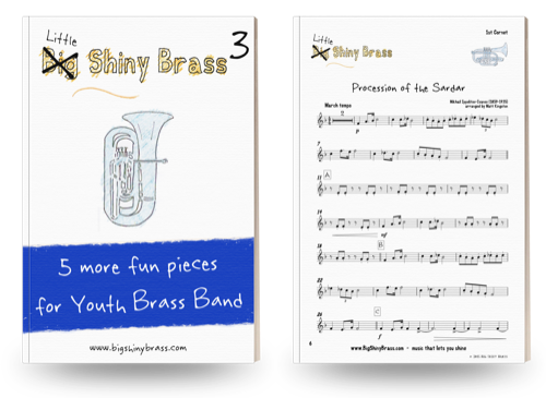 Little Shiny Brass 3